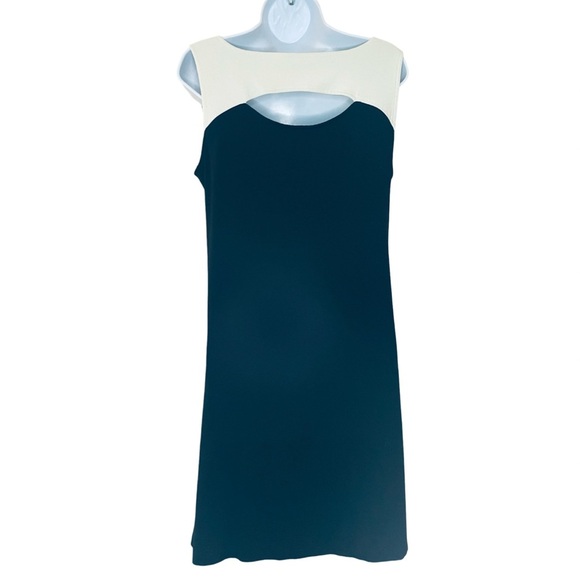 Eileen Fisher System Knee Length Black Dress with Cream Accent at Neck Size M - Picture 2 of 5